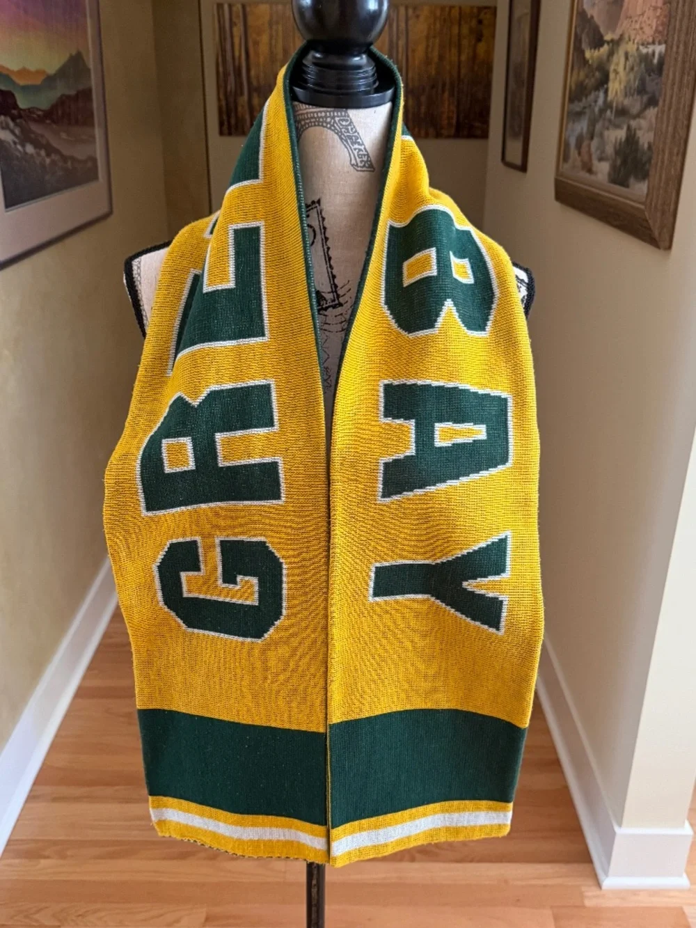 Green Bay Packers Knit Winter Scarf